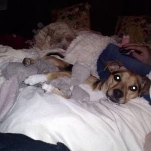 Meet your Posher, James